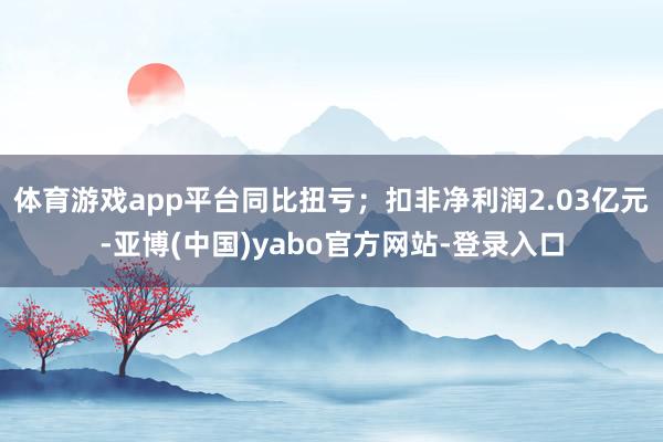 体育游戏app平台同比扭亏；扣非净利润2.03亿元-亚博(中国)yabo官方网站-登录入口