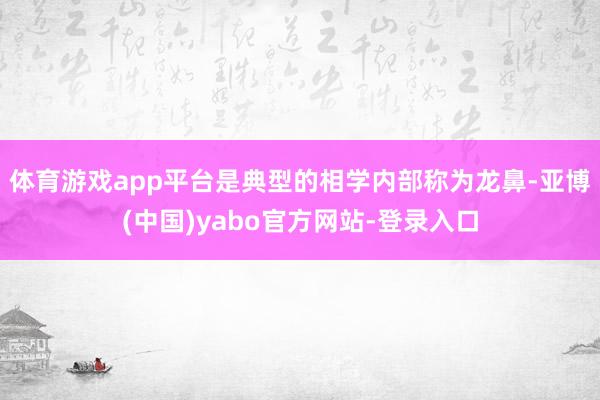 体育游戏app平台是典型的相学内部称为龙鼻-亚博(中国)yabo官方网站-登录入口