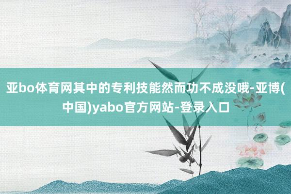 亚bo体育网其中的专利技能然而功不成没哦-亚博(中国)yabo官方网站-登录入口