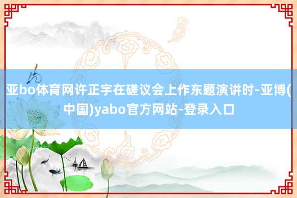 亚bo体育网许正宇在磋议会上作东题演讲时-亚博(中国)yabo官方网站-登录入口